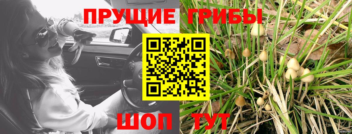 Галлюциногенные грибы MAGIC MUSHROOMS Азов